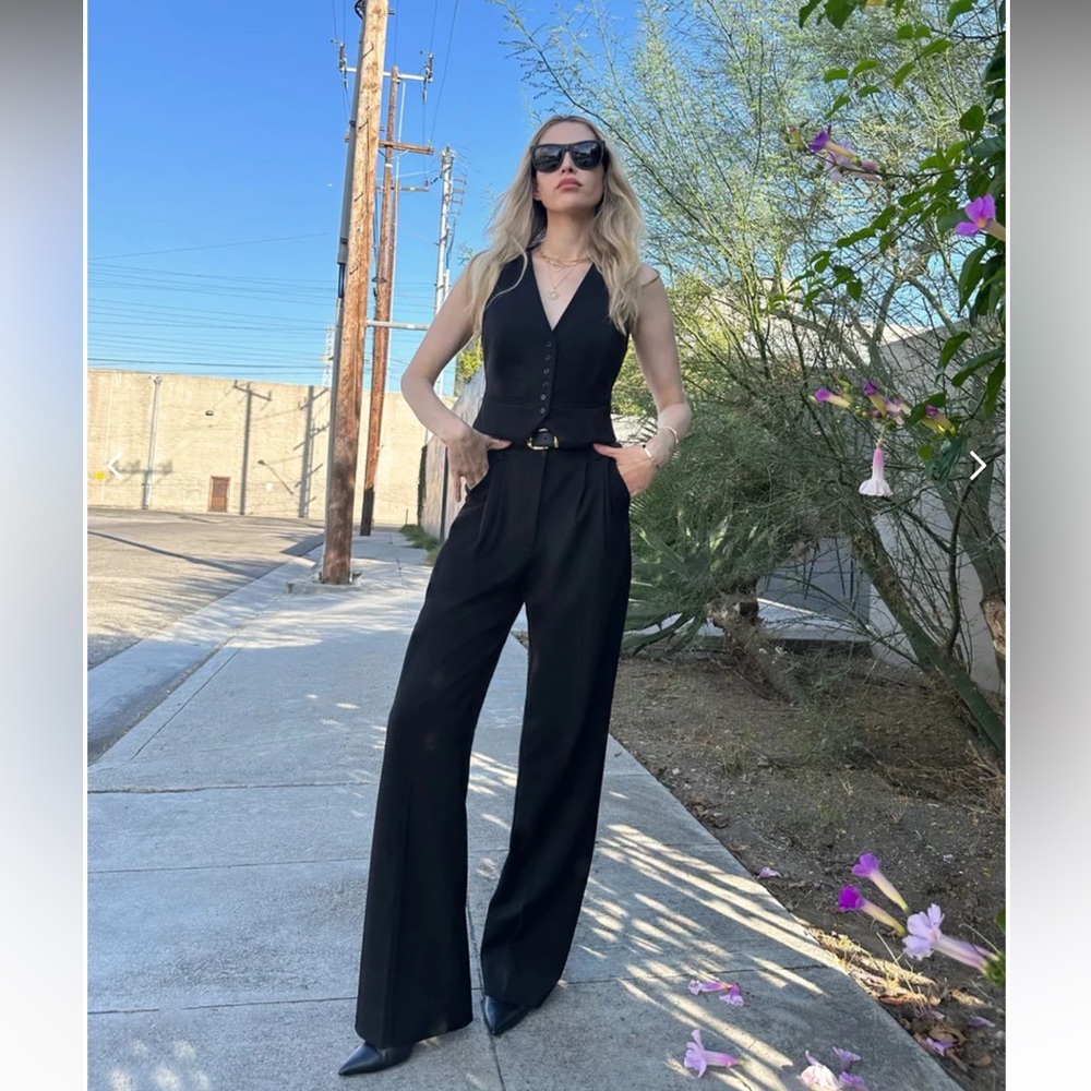 FAVORITE DAUGTHTER • The favorite pant black - size 12 pleated wide leg - Picture 3 of 11